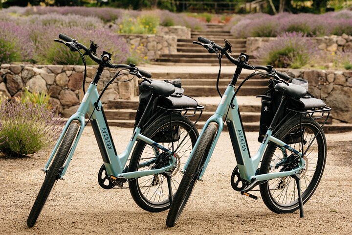 Tour guiado de día completo de cata de vinos en bicicleta eléctrica con almuerzo