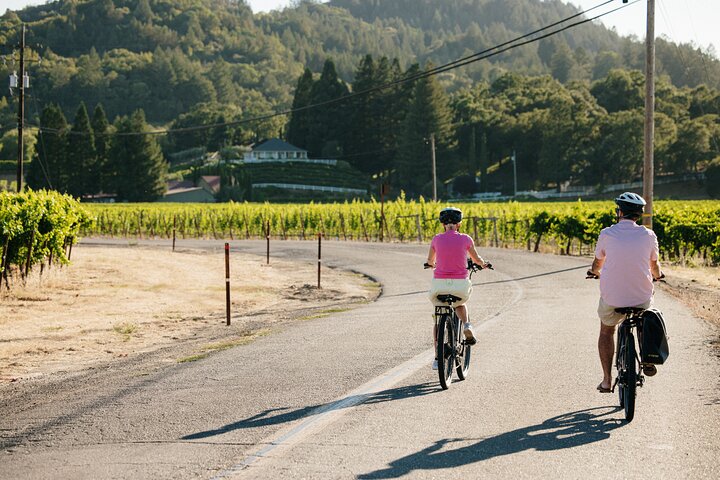 Tour guiado de día completo de cata de vinos en bicicleta eléctrica con almuerzo