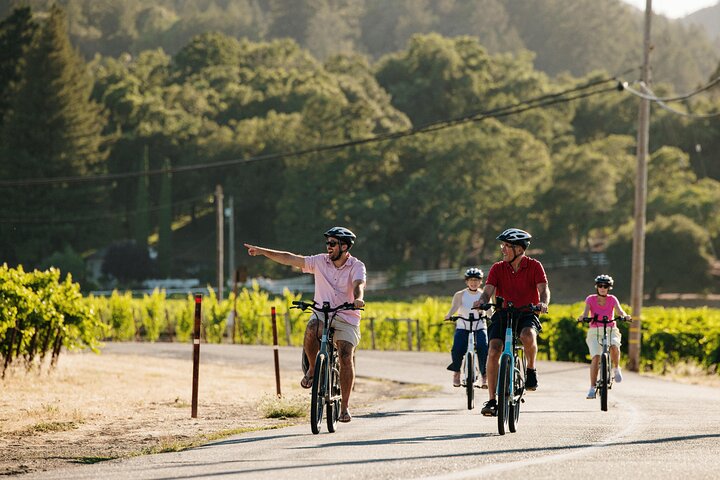 Tour guiado de día completo de cata de vinos en bicicleta eléctrica con almuerzo