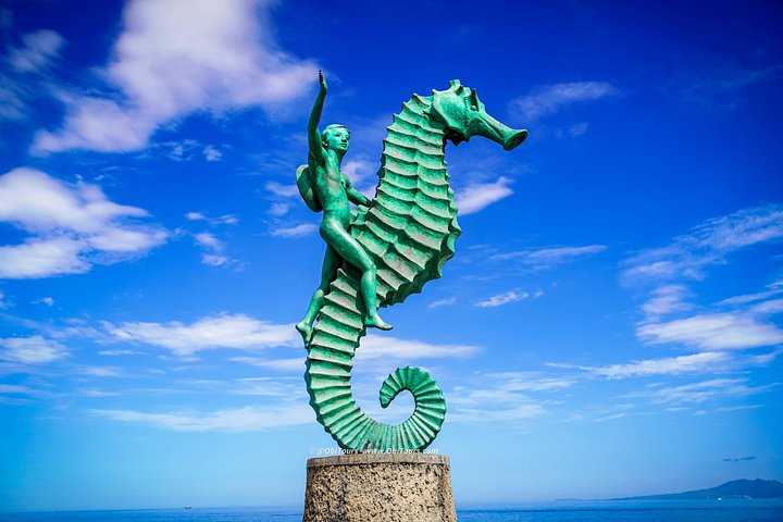 City Tour exclusivo: a experiência privada em Puerto Vallarta