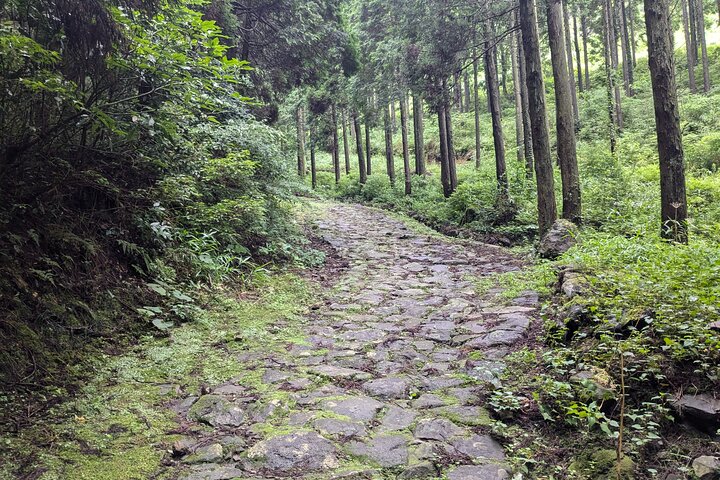 Passeggiata per la Caldera dell'Aso, Passeggiata Storica lungo il "Bungo Kaido"