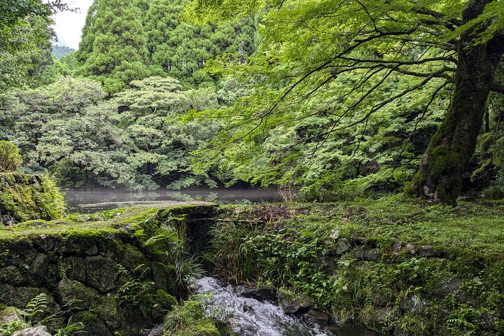 Passeggiata per la Caldera dell'Aso, Passeggiata Storica lungo il "Bungo Kaido"