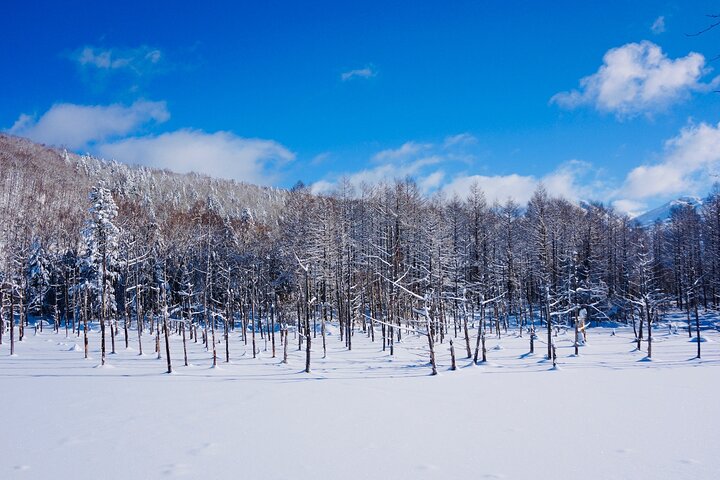 Zwischen Niseko und New Chitose Airport : Privater Hin- und Rücktransfer