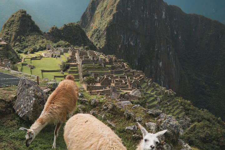Machu Picchu privat tur med biljett, buss från Aguas Calientes