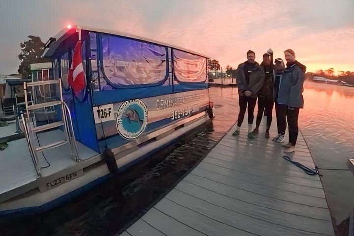 Semi-Private Manatee Tour de Natação com Guia na água (Fotos gratuitas)