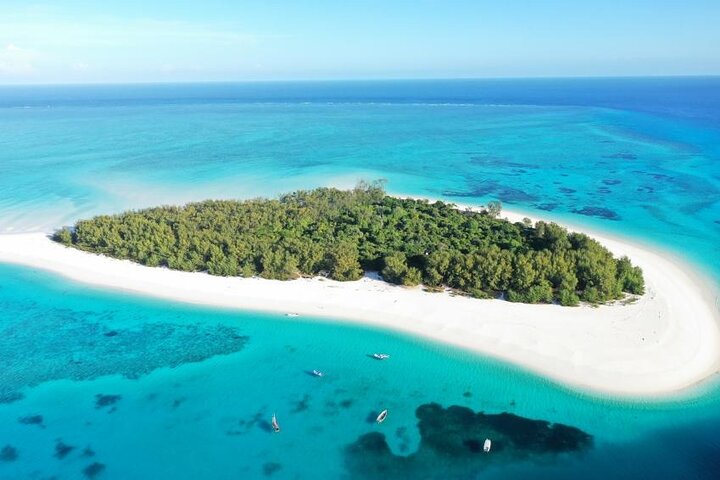 Zanzibar Mnemba Island Avventura di snorkeling e osservazione dei delfini