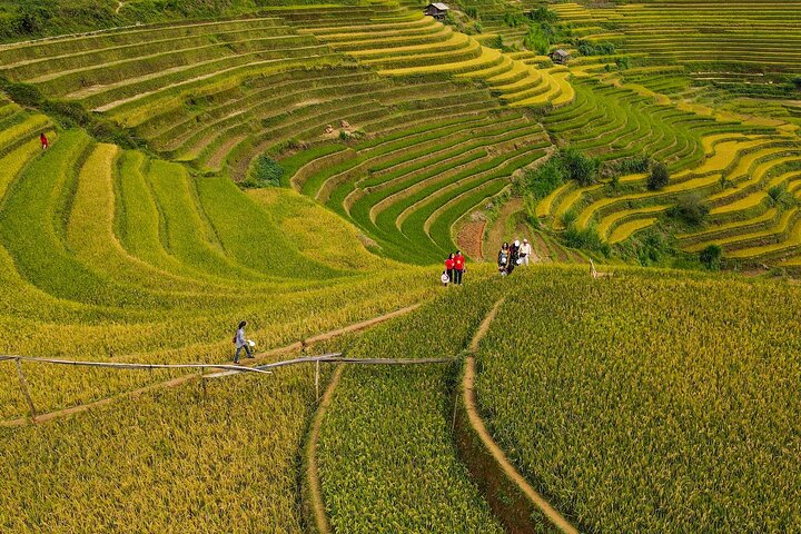 Mu Cang Chai Trekking und Motorrad Ganztag