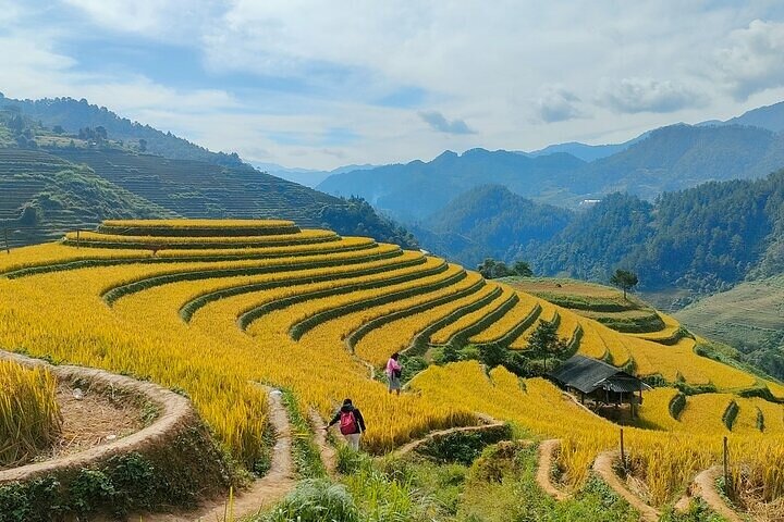 Mu Cang Chai Rundfahrt mit Ortskundiger Reiseleiter & Bienenwachsmalerei