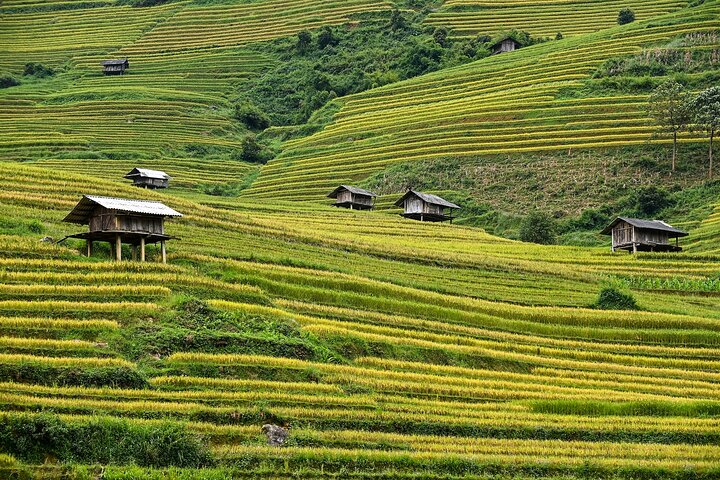 Mu Cang Chai Rundfahrt mit Ortskundiger Reiseleiter & Bienenwachsmalerei