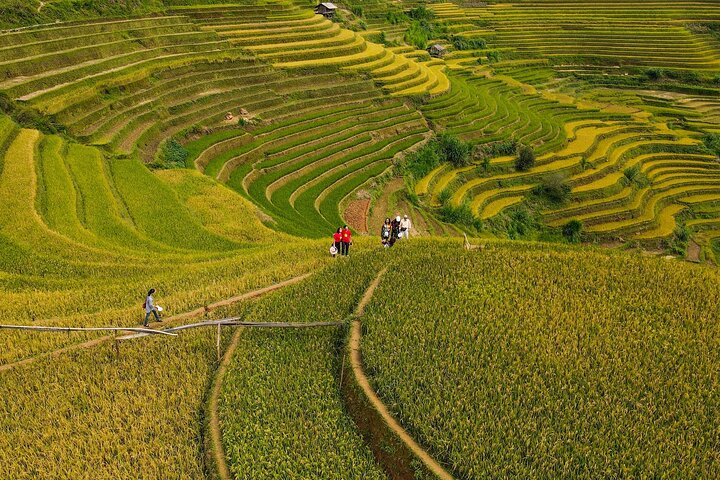 Mu Cang Chai Rundfahrt mit Ortskundiger Reiseleiter & Bienenwachsmalerei