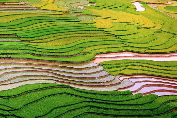Mu Cang Chai Rundfahrt mit Ortskundiger Reiseleiter & Bienenwachsmalerei