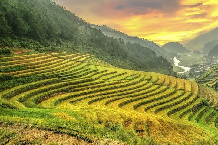 Mu Cang Chai Rundfahrt mit Ortskundiger Reiseleiter & Bienenwachsmalerei