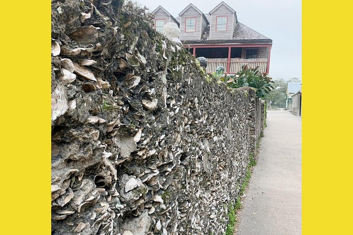 Paseo por la historia de Santa Agustín: Tour Premium con recogida
