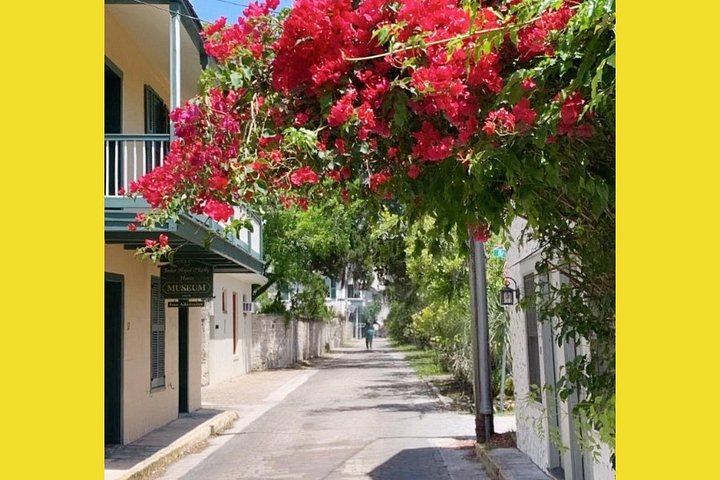 Paseo por la historia de Santa Agustín: Tour Premium con recogida