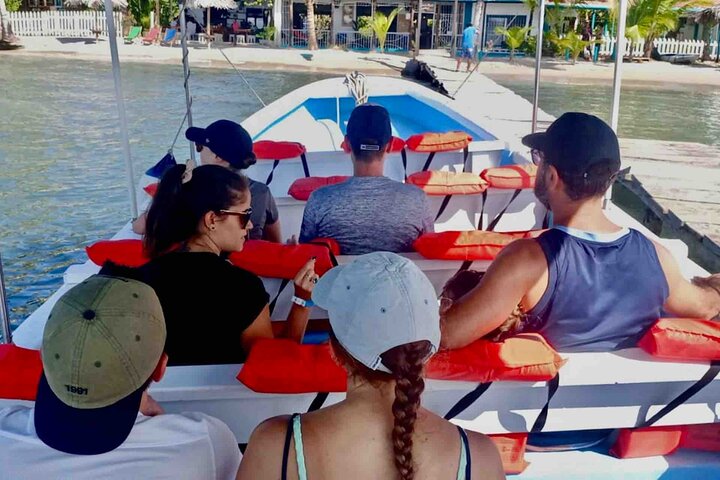 Isla Colon Tour till Bird Island, Boca del Drago och Starfish Beach