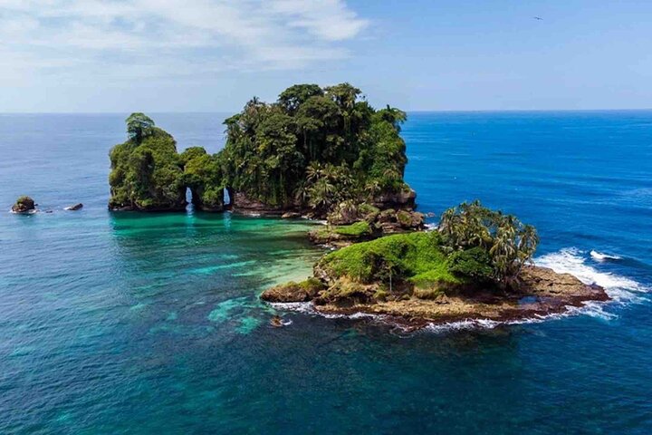 Isla Colon Tour till Bird Island, Boca del Drago och Starfish Beach