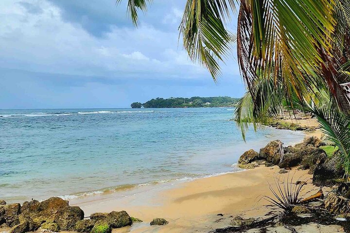Isla Colon Tour till Bird Island, Boca del Drago och Starfish Beach