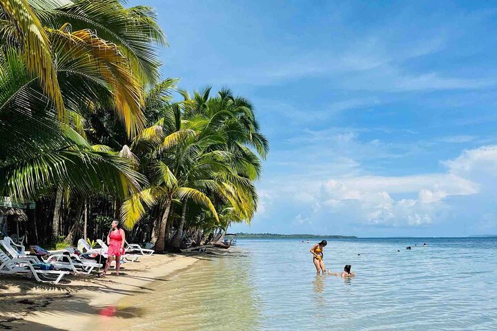 Isla Colon Tour till Bird Island, Boca del Drago och Starfish Beach