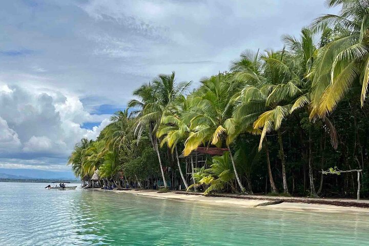 Isla Colon Tour till Bird Island, Boca del Drago och Starfish Beach
