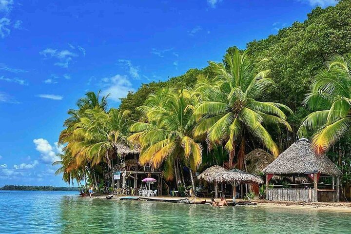 Isla Colon Tour till Bird Island, Boca del Drago och Starfish Beach