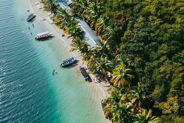 Isla Colon Tour till Bird Island, Boca del Drago och Starfish Beach