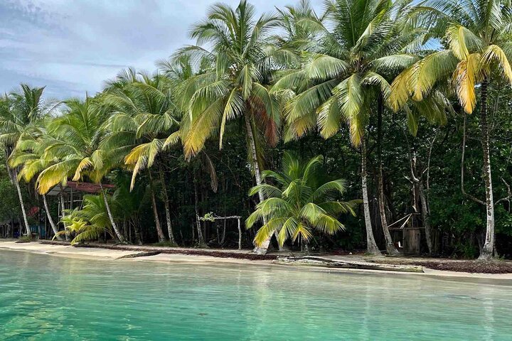 Isla Colon Tour till Bird Island, Boca del Drago och Starfish Beach