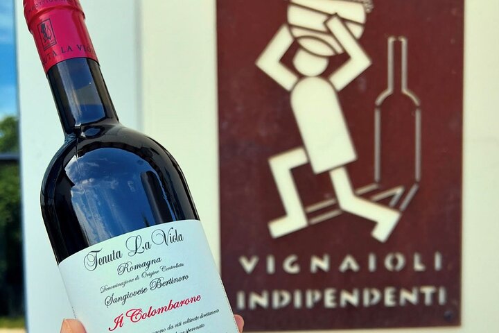 Upptäck italienska viner på Tenuta La Viola