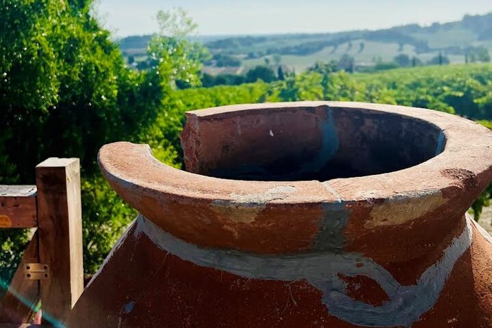 Upptäck italienska viner på Tenuta La Viola