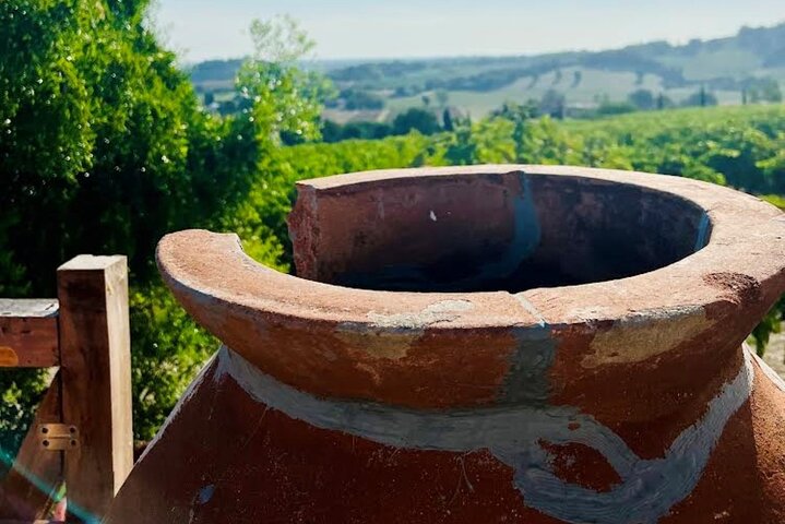 Ontdek Italiaanse wijnen bij Tenuta La Viola met 6 wijnproeverijen
