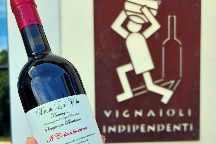 Ontdek Italiaanse wijnen bij Tenuta La Viola met 6 wijnproeverijen