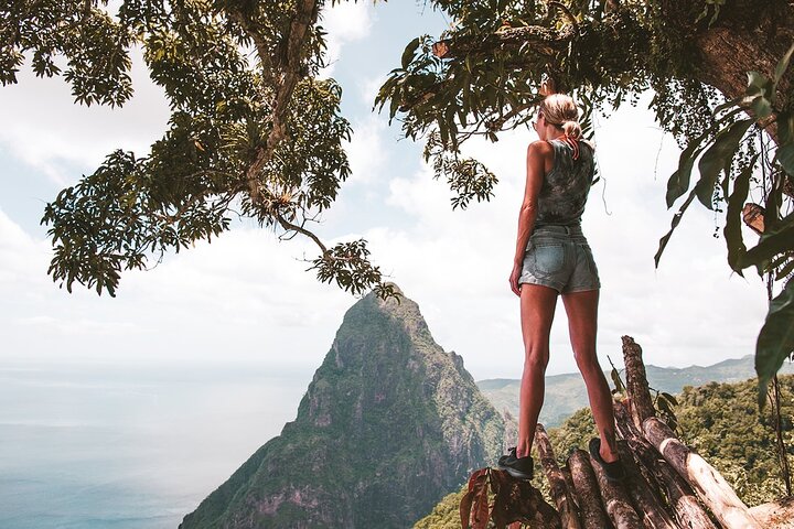 Tour privato di St Lucia: personalizza la tua esperienza sull'isola + pranzo
