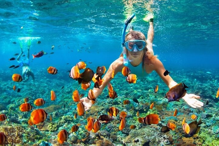 Tour privato di St Lucia: personalizza la tua esperienza sull'isola + pranzo