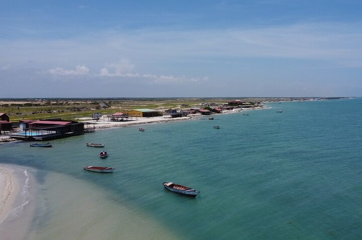 Bénévolat auprès des animaux et des communautés de Guajira