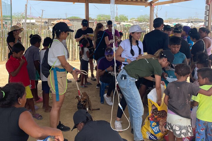 Bénévolat auprès des animaux et des communautés de Guajira
