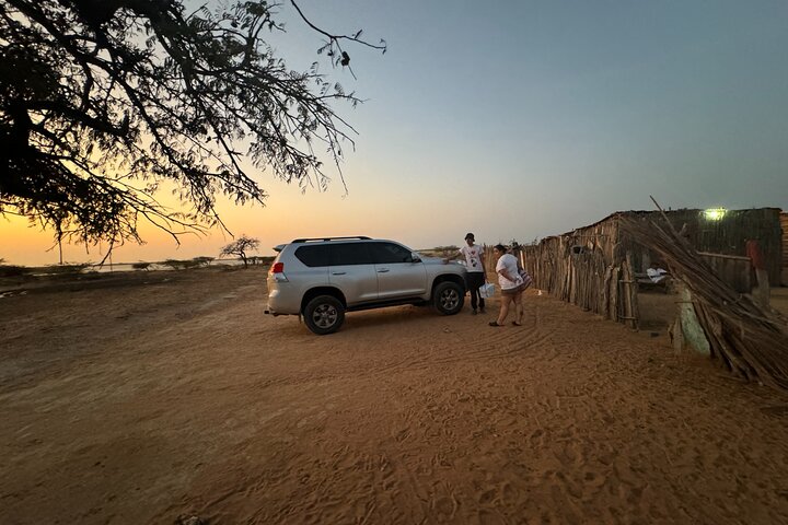Bénévolat auprès des animaux et des communautés de Guajira