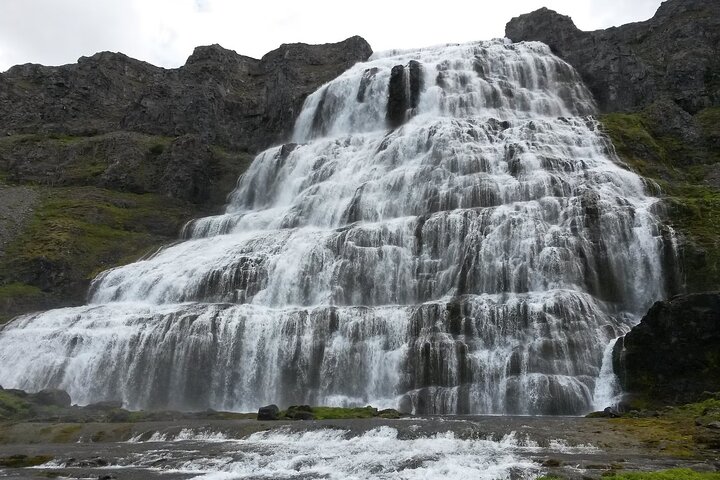 Excursão em grupo pequeno Ísafjordur Dynjandi Waterfall & Secret Stop