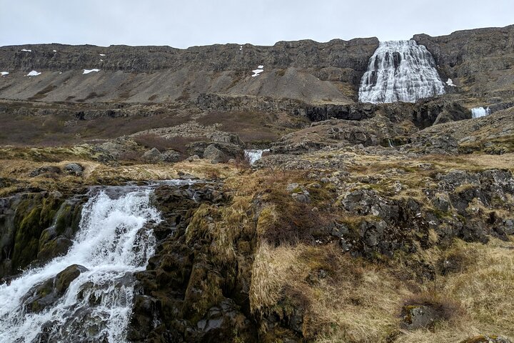 Excursão em grupo pequeno Ísafjordur Dynjandi Waterfall & Secret Stop