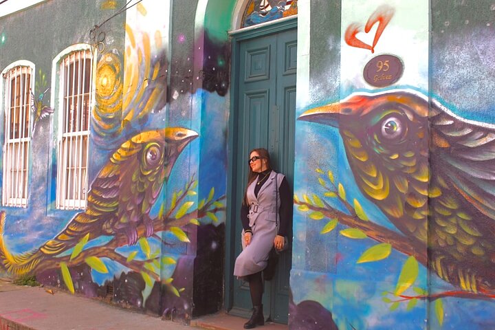 Valparaiso Port and Viña del Mar with Casablanca Wine Tasting