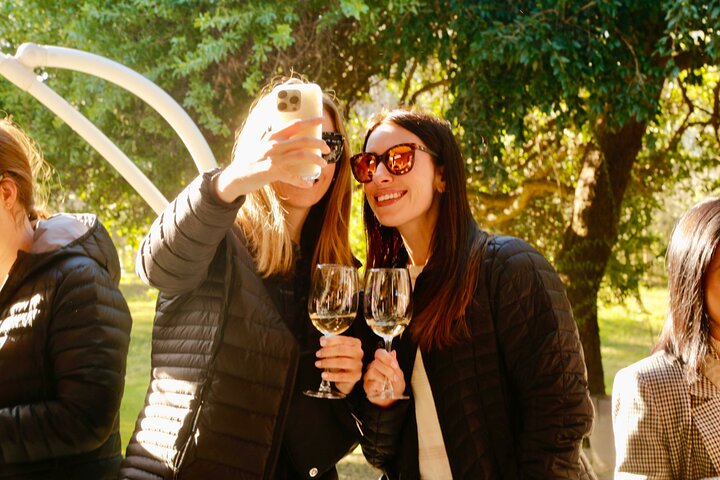 Valparaiso Port and Viña del Mar with Casablanca Wine Tasting