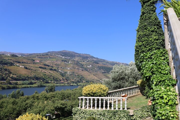 Melhor do Douro num Dia: Barco, Vinho e Almoço Familiar