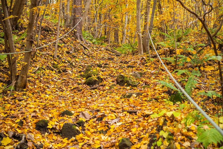 Vandra Mt Usu och besök Lake Toya Day Tour