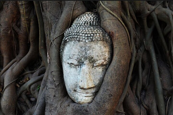 Hele dag Bangkok Tour met kanaalcruise vanuit Laem Chabang Port