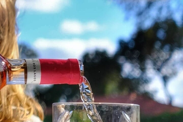 Mértola Vin- og Tapasoplevelse på en Skjult Alentejo-gods