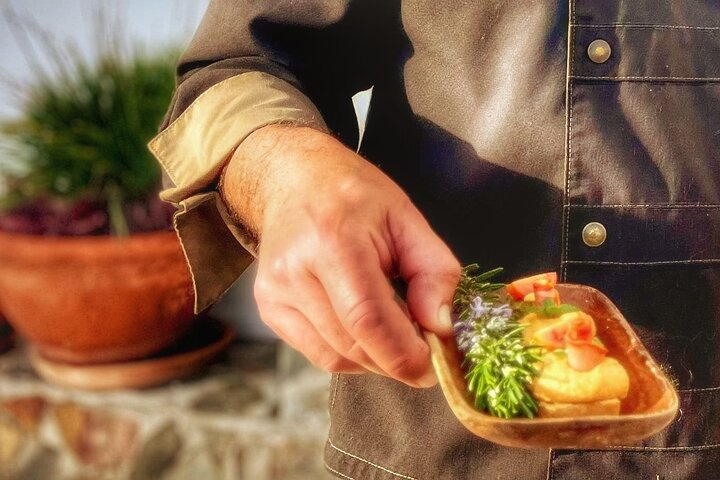 Mértola Vin- og Tapasoplevelse på en Skjult Alentejo-gods