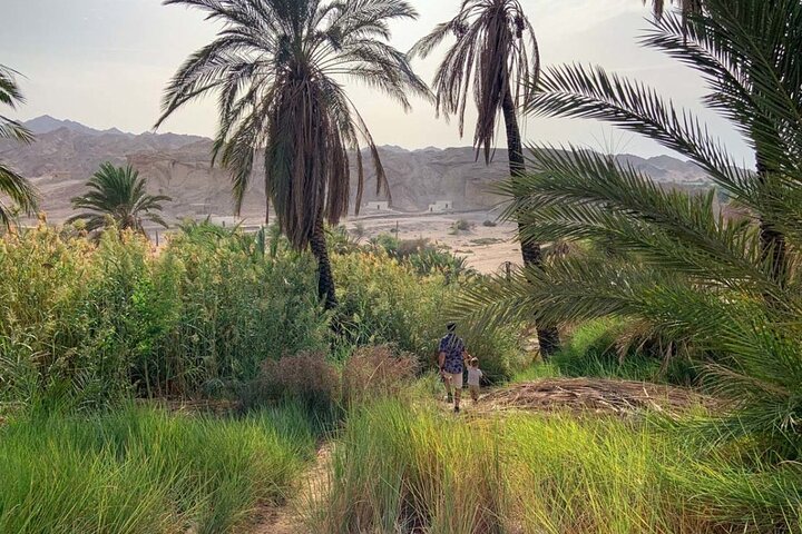 3 Days Tour - Explore the Path of Moses in Tabuk