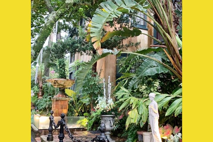 Paseo por la historia de Santa Agustín: Tour Premium con recogida