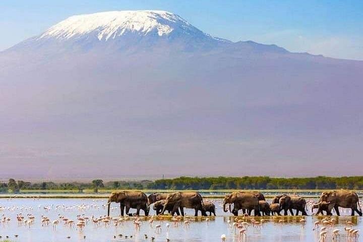Tour di 2 giorni 1 notte al Parco Nazionale Amboseli.