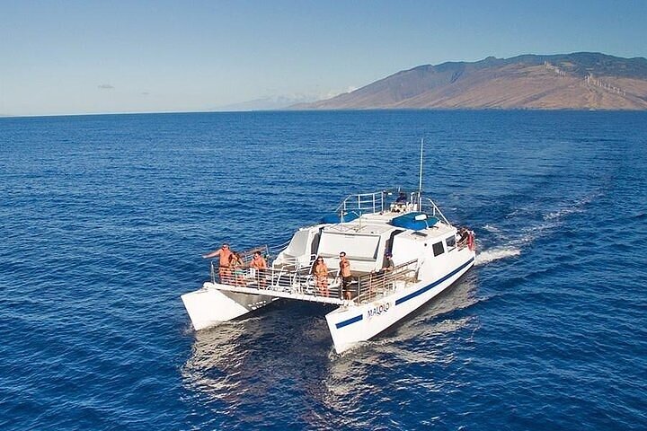 Maui eftermiddag snorkling ombord Malolo til Molokini eller koral haver