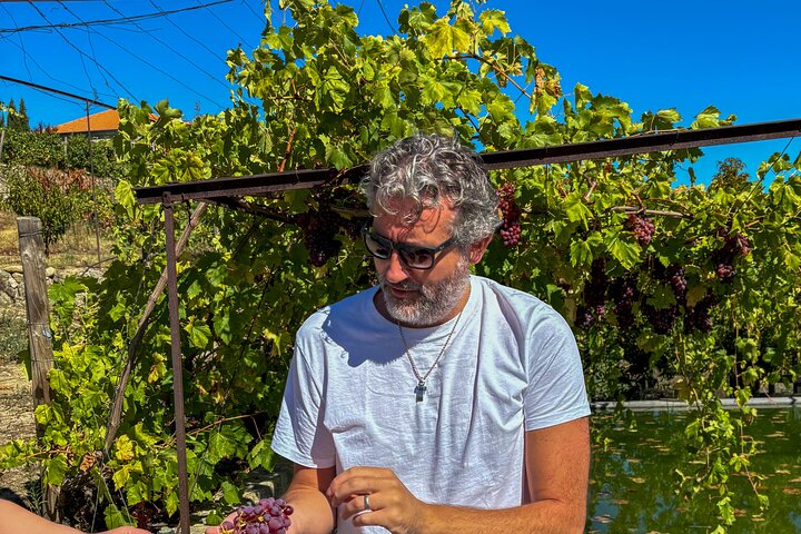Melhor do Douro num Dia: Barco, Vinho e Almoço Familiar