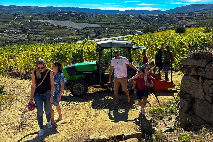 Melhor do Douro num Dia: Barco, Vinho e Almoço Familiar